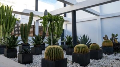 Vierkante Plantenbakken voor een Strakke Tuinindeling