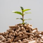 De Complete Gids voor het Kiezen van de Juiste Pellets voor Jouw Woning