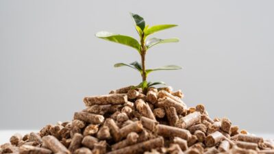 De Complete Gids voor het Kiezen van de Juiste Pellets voor Jouw Woning